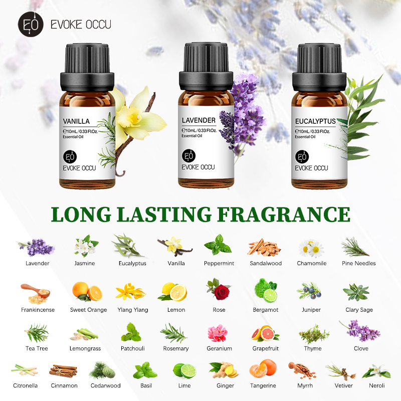 EVOKE OCCU 10mL Essential Oil, - đánh giá và giá Soap Making Ingredients