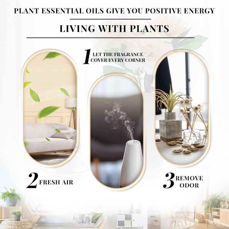 EVOKE OCCU 10mL Essential Oil, - đánh giá và giá Soap Making Ingredients